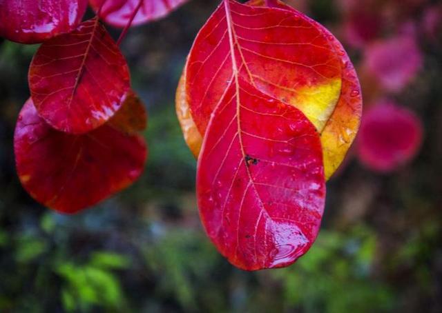 當你老了，誰將是你身邊最重要的那個人？ （感悟美文）