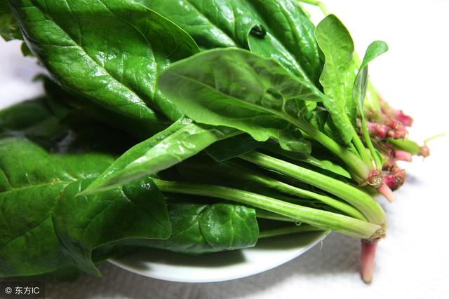 藥補不如食補，蔬菜也是補藥，日常蔬菜功效一覽表