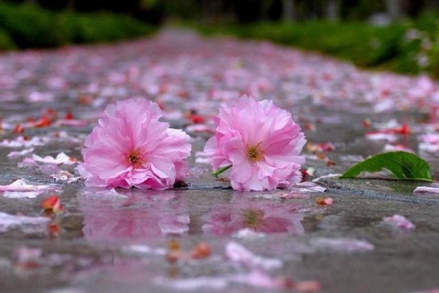 餘生，淡淡地活