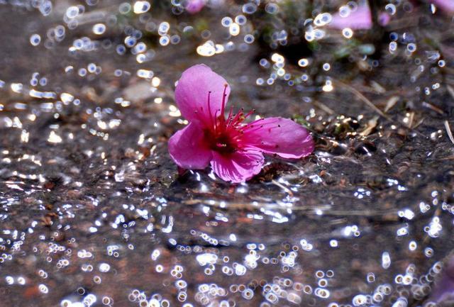 餘生，淡淡地活
