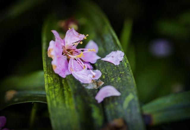 餘生，淡淡地活