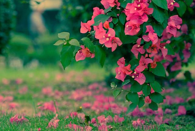 餘生，淡淡地活