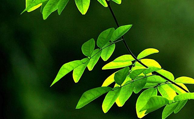 活著,就要做一個有溫度的人