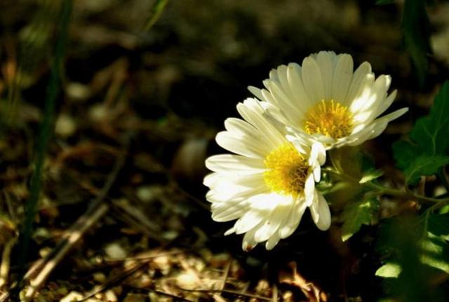 活著,就要做一個有溫度的人