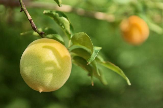 活著，就要做一個有溫度的人