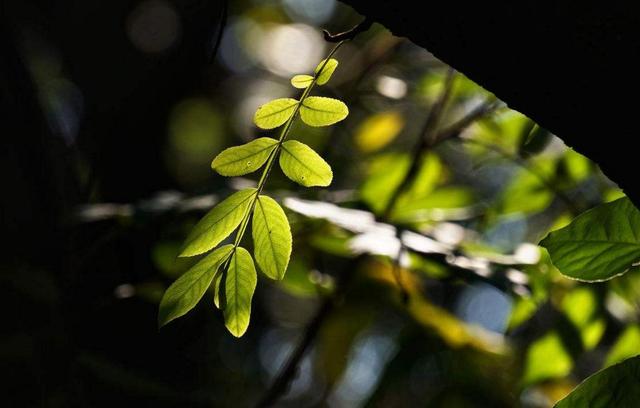 活著，就要做一個有溫度的人