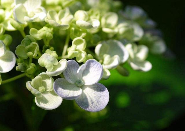 活著，就要做一個有溫度的人