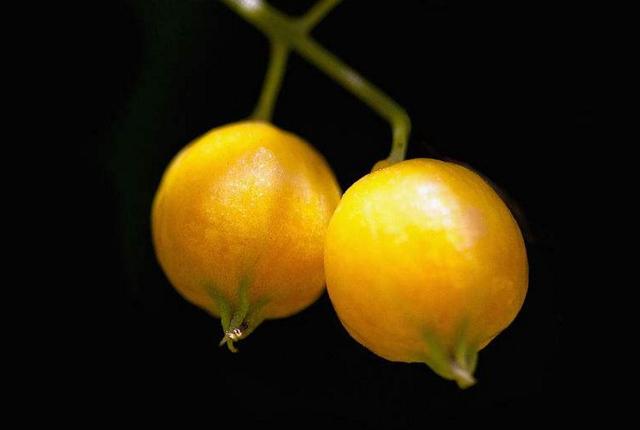 活著，就要做一個有溫度的人