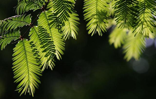 活著，就要做一個有溫度的人