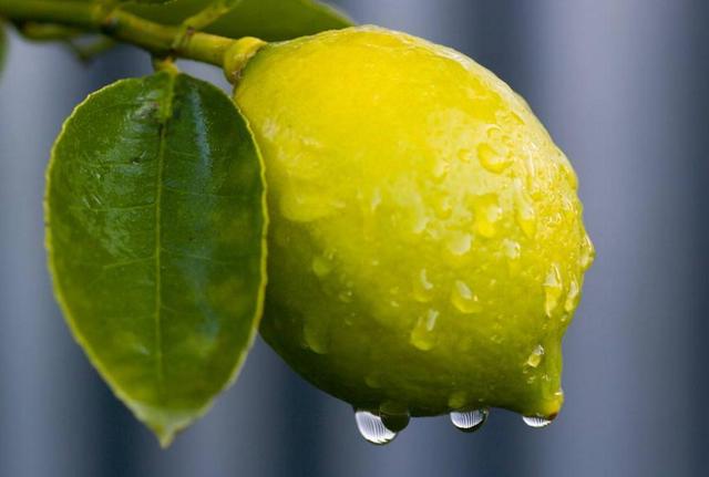 活著，就要做一個有溫度的人