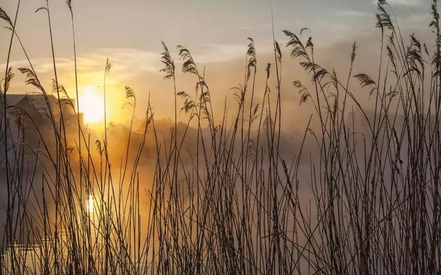 看清楚，這就是現實！