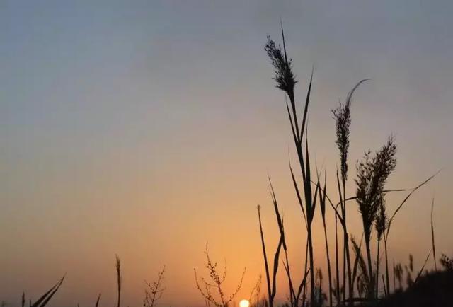 看清楚，這就是現實！