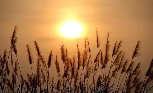 看清楚，這就是現實！