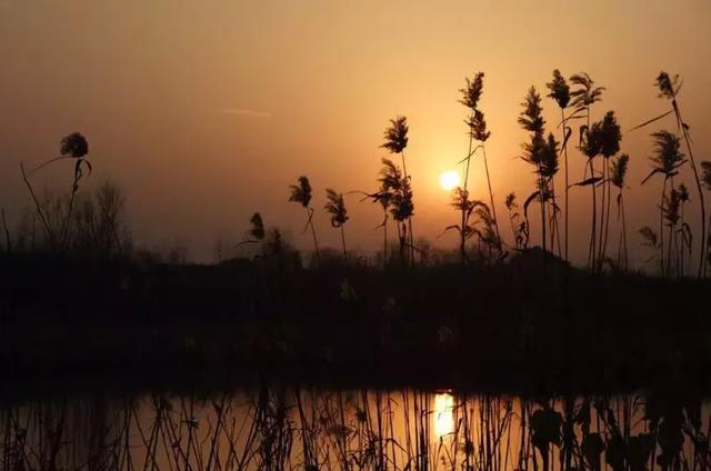 看清楚，這就是現實！