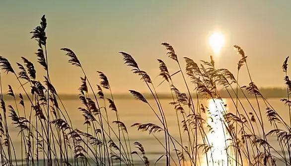 看清楚，這就是現實！