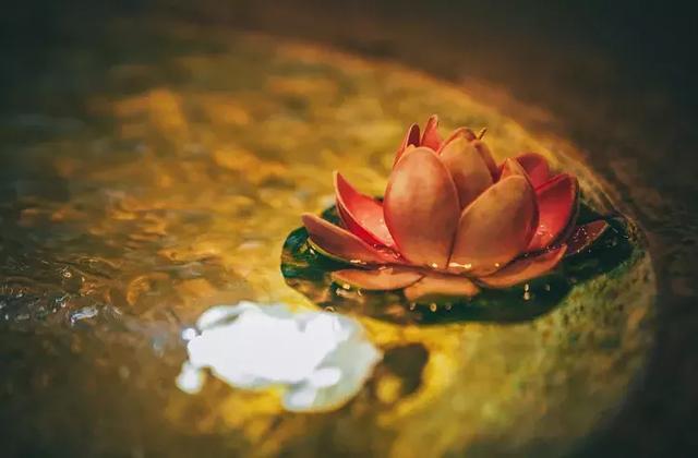 心態好，才是關鍵（我懂了）