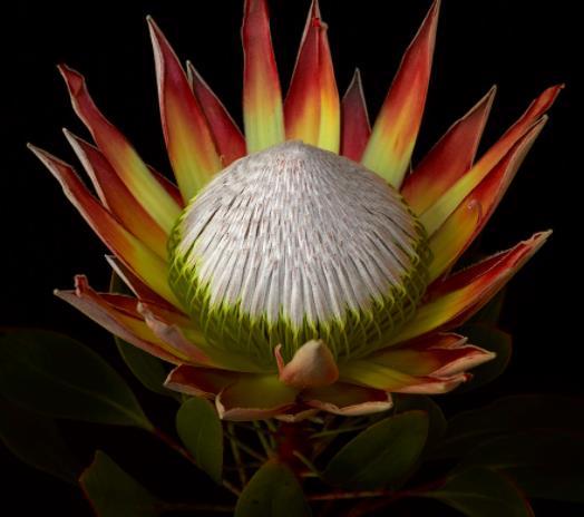 做好這四件不著急的事，你的人生將無限出彩