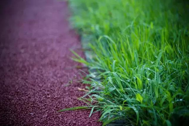 人到中年，有苦難言