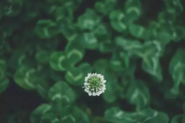 人到中年，有苦難言