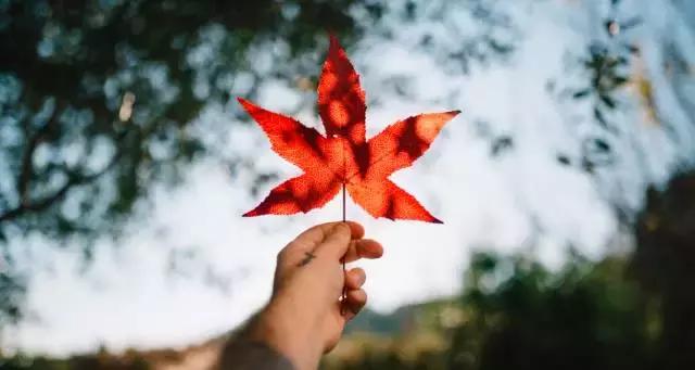 人到中年，有苦難言