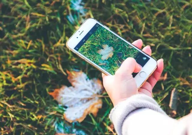 人到中年，有苦難言