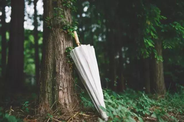 人到中年，有苦難言