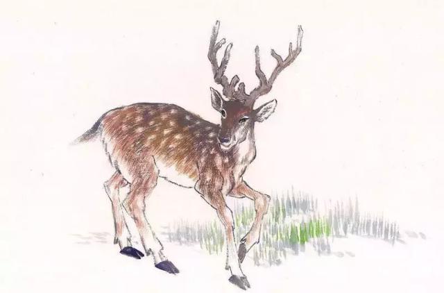 心態對了，就不累了（值得看看）