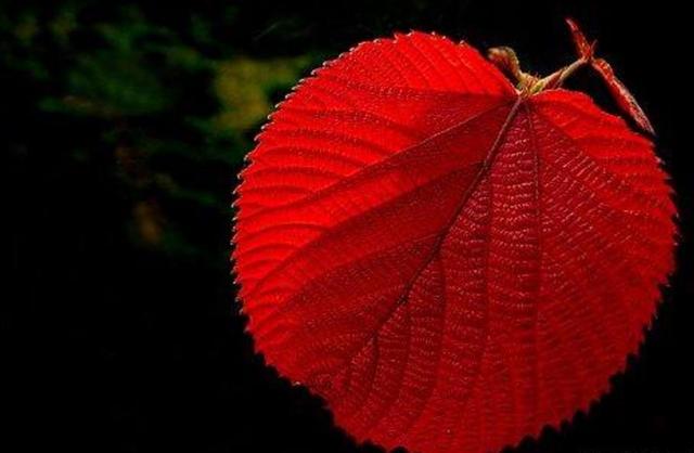 半生已過，這三樣東西，你是否已經錯過？