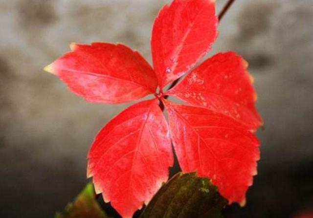 半生已過，這三樣東西，你是否已經錯過？