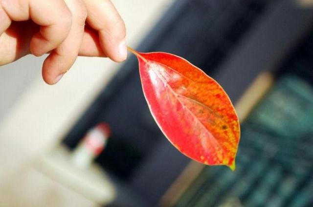 半生已過，這三樣東西，你是否已經錯過？