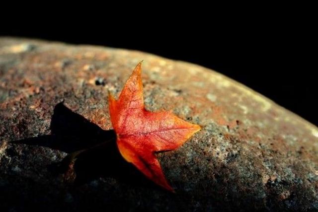 半生已過，這三樣東西，你是否已經錯過？