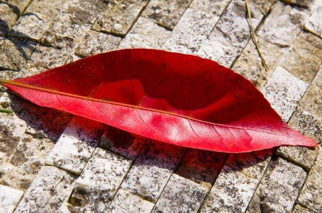 半生已過，這三樣東西，你是否已經錯過？