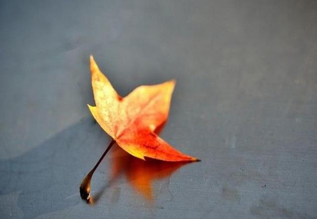 半生已過，這三樣東西，你是否已經錯過？