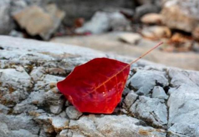 半生已過，這三樣東西，你是否已經錯過？