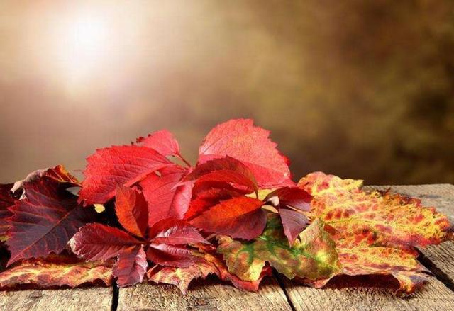 半生已過，這三樣東西，你是否已經錯過？