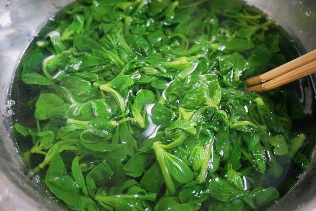 5分鐘拌好一道爽口小菜，便宜，鮮嫩又營養，吃一次就上癮