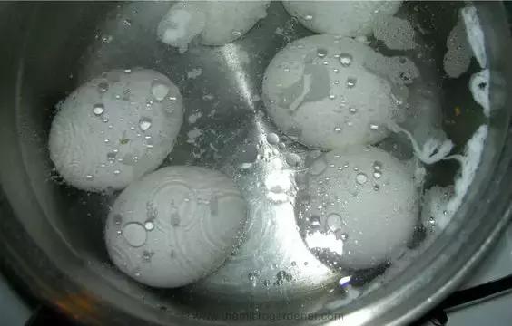 用完的雞蛋殼千萬別扔，這些妙用你可能都沒想過