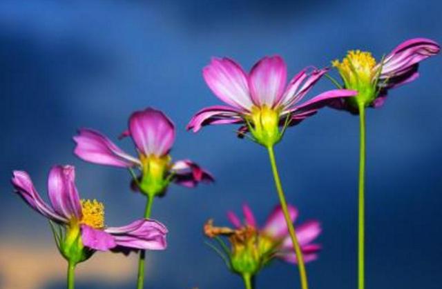 四十不惑，我們好好談談吧