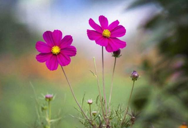 四十不惑，我們好好談談吧