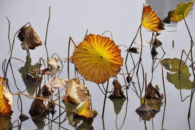 天黑得很慢(送給60歲以上的老年朋友)