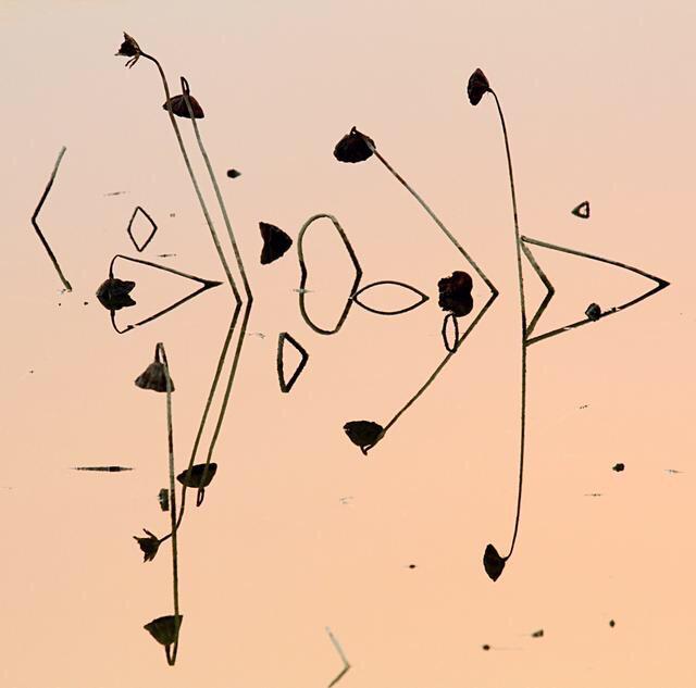 天黑得很慢(送給60歲以上的老年朋友)