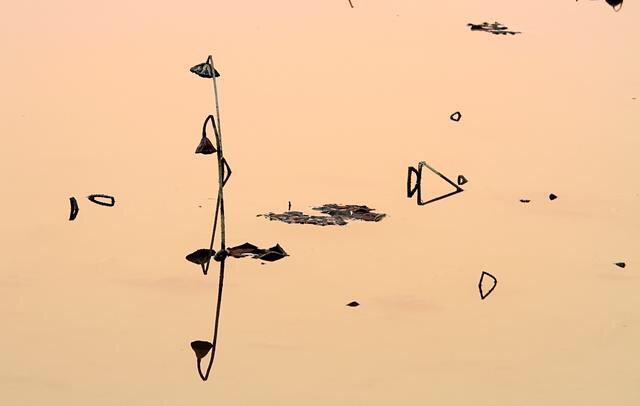 天黑得很慢(送給60歲以上的老年朋友)