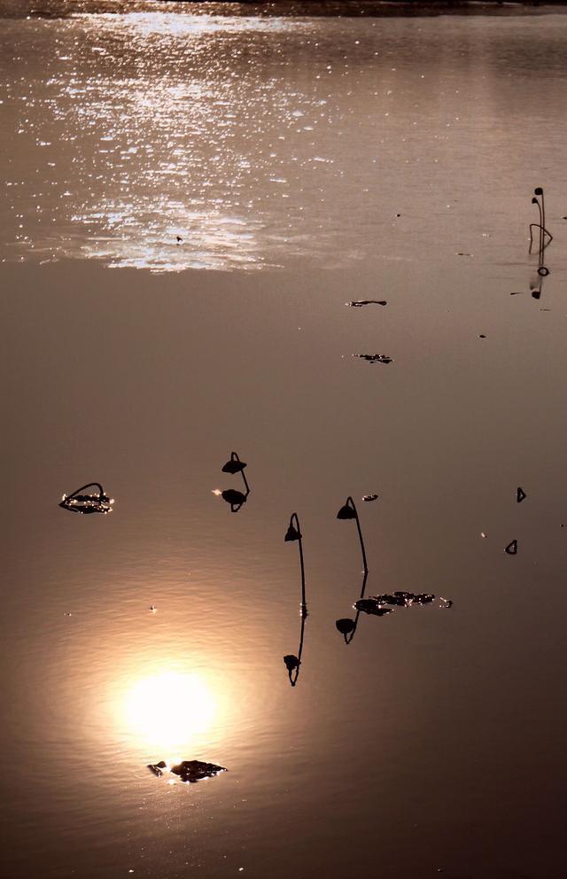 天黑得很慢(送給60歲以上的老年朋友)