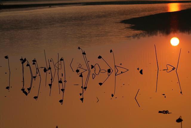 天黑得很慢(送給60歲以上的老年朋友)