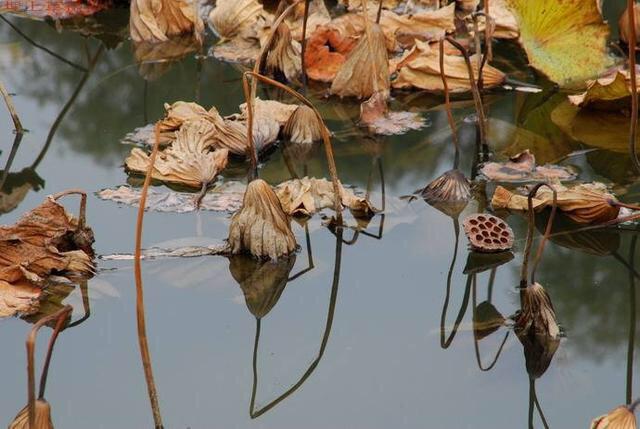天黑得很慢(送給60歲以上的老年朋友)