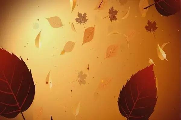 尊重，一個人最好的修養