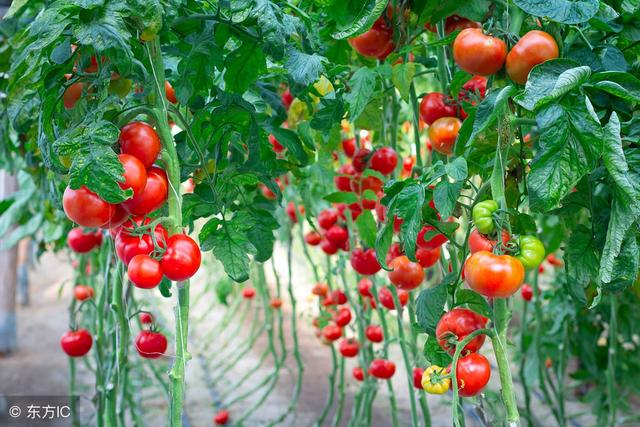 人到中年，別混，別渾，別昏