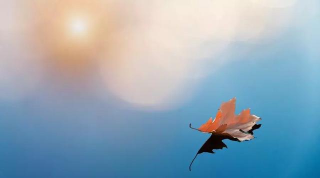 不爭，不比，不求