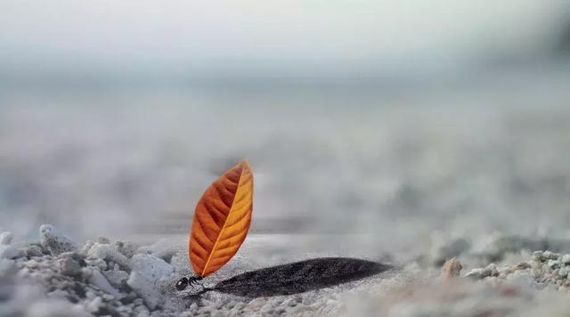 不爭，不比，不求