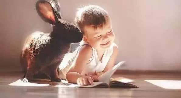 培養孩子閱讀興趣的黃金時間，千萬別錯過！